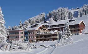 Ferien- Und Familienhotel Alpina Adelboden