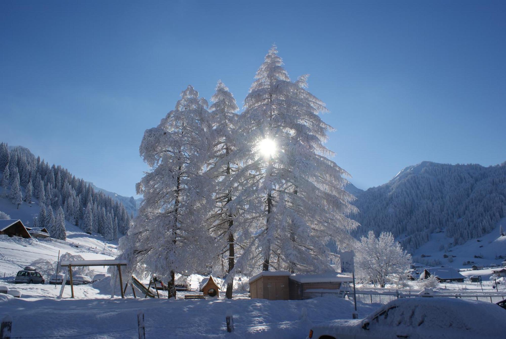 Ferien- Und Familienhotel Alpina Adelboden Exteriér fotografie